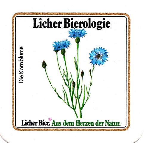 lich gi-he licher biero blu lo rd 4b (quad185-die kornblume)